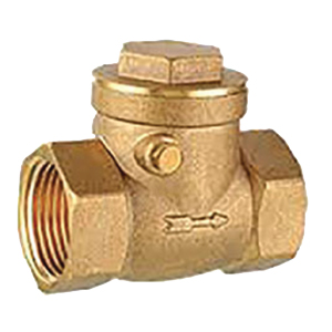 check-valve